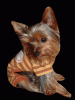 Looking for Yorkie Models~~-poohpj-copy.gif