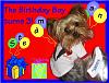 Stedman The Birthday Boy turns 3 years old today!!!-mommies-birthday-boy-.jpg