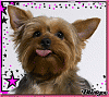 I'm thinking my mommie has nothing better 2 do:-394631099_1342091.gif