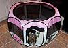 What a cool idea for a kennel!-100_2100.jpg