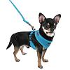 Puppia Mesh Harness?-soft_dog_harness_puppia.jpg