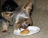 I had a birfday!-birfday-cake-yummy-.jpg