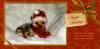 Yorkie Christmas Card-yorkiegoo-christmas-card.jpg