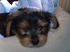 Finley's first day home!-march-14-119.jpg