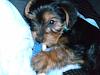 Finley's first day home!-march-14-131.jpg