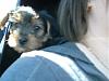 Finley's first day home!-march-14-103.jpg