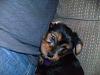 Finley's first day home!-march-14-108.jpg