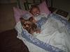 Harley's Story..Yorkies & small children-044.jpg