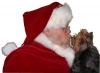 Toto's own private Santa!!!!-santa-toto-cutout-resized.jpg