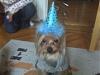 Cody's Birthday Extravaganza!!!-mail-2.jpeg