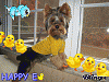 Happy Easter-408235404_912683.gif