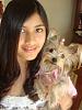 Platinum Yorkie?-crazy-mickie-081.jpg