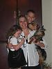 Yorkie vs Silky: 2 Different Breeds?-001.jpg