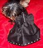 2009 Yorkietalk Meet Up - Raffle Prize List - Official Thread-black-xsmall3.jpg