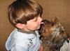 How does your yorkie behave with babies/children?-pasandnich.jpg