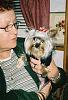 Do You Have Pictures Of Your Yorkie When He/She Was a Puppy & Current Pictures Now?-kacee-2-.jpg