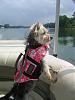 Does anyone take their yorkie on a boat?-boat.jpg