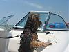 Does anyone take their yorkie on a boat?-july21-26-063.jpg