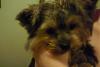 LIVID MAD and need help!-db429b187d9e__1244827746000.jpeg