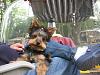 Do you take your yorkie camping?-t5.jpg