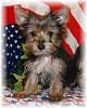 Yorkie's are Like Lays, Can't have just one!-bettys-girl.jpg