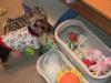 How many toys does your baby have?-dscf1230.jpg