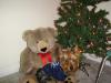 Post your Yorkies Christmas Picture!-mybear.jpg