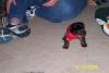 I pick him up Saturday-100_0190-500-x-333-.jpg