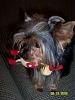 thinks her toys are her babies-100_9270.jpg