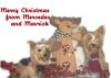 Post your Yorkies Christmas Picture!-m-m1-600-x-426-.jpg