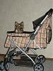 Dog Stroller-roxie-bday-028.jpg