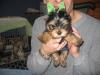 We saw snickers today.....Here are some pics-img_4212.jpg