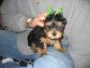 We saw snickers today.....Here are some pics-img_4207.jpg