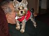 AKC Registration questions????-dsc00156-small-.jpg