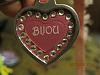 Our pretty new tag from Petsmart-bijous-new-tag-close-up.jpg