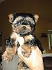 What do you think of her?-big-girl4.jpg