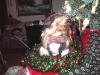 Yorkietalk Christmas Contest Entries Here!-bobo-001.jpg
