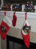 Yorkietalk Christmas Contest Entries Here!-keep3.jpg