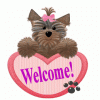 I'm new!-yorkie-welcome.gif