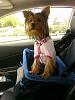 Need a good idea/car-stellacarseat2.jpg