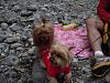 My rescue dog has biting issue and I am afraid-l_e354fb02fc0a4234b12a23859c78beb9.jpg