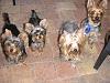 This is Random, but how do you get them to pose for photo's?-look-mommy-.jpg