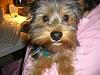 This is Random, but how do you get them to pose for photo's?-spring2009070.jpg