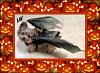 YorkieTalk Fifth Annual Halloween Contest (2009) - SUBMIT YOUR ENTRIES!-yorkiepumkind09.jpg