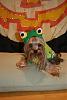 YorkieTalk Fifth Annual Halloween Contest (2009) - SUBMIT YOUR ENTRIES!-baby-zoey-frog.jpg