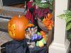 YorkieTalk Fifth Annual Halloween Contest (2009) - SUBMIT YOUR ENTRIES!-sadiewithhat2.jpg