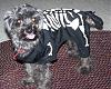 YorkieTalk Fifth Annual Halloween Contest (2009) - SUBMIT YOUR ENTRIES!-003-1.jpg