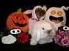 YorkieTalk Fifth Annual Halloween Contest (2009) - SUBMIT YOUR ENTRIES!-yorkie-cotton-tail-03.jpg