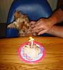 Roxy's 1st birthday!!!-roxy-birthday-11-1-2009-018c.jpg