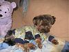 the more i see ither yts fur babys and other peoples dog i-img_0013.jpg